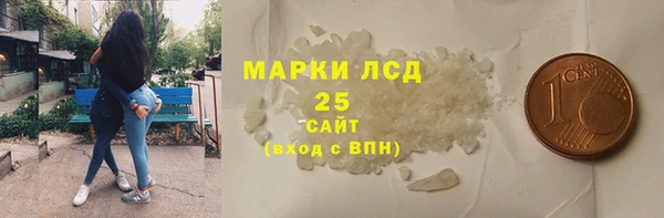 прущие грибы Кулебаки