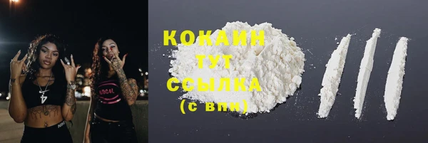 spice Куйбышев