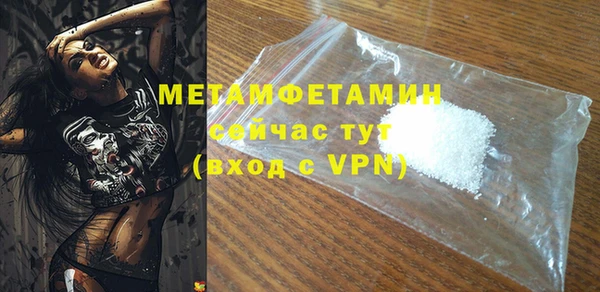 прущие грибы Кулебаки