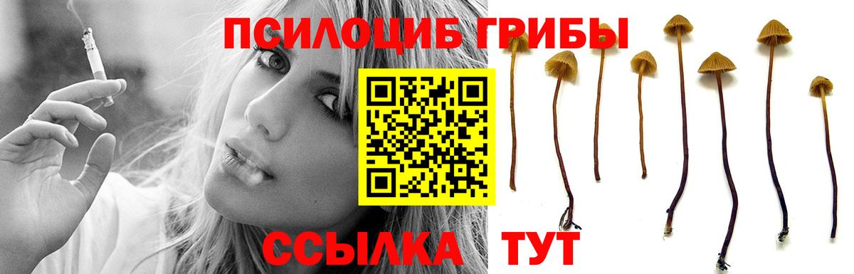 Псилоцибиновые грибы Magic Shrooms Мелеуз